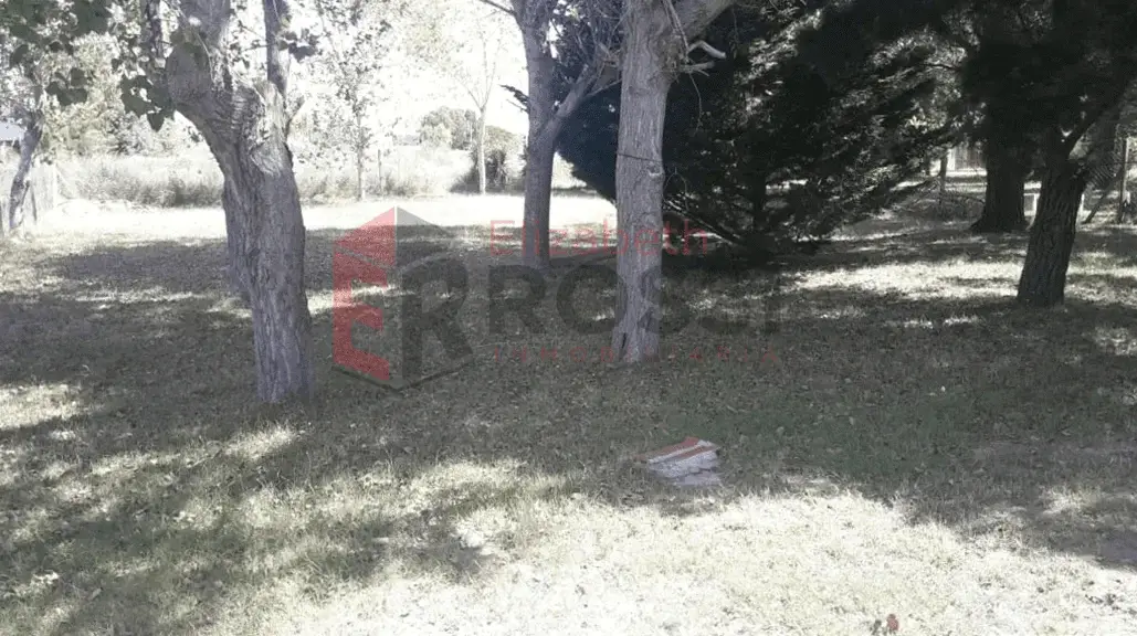 Chalet con Parque y 3 Dormitorios – Calle 54 N° 978, Costa Chica - Imagen 8